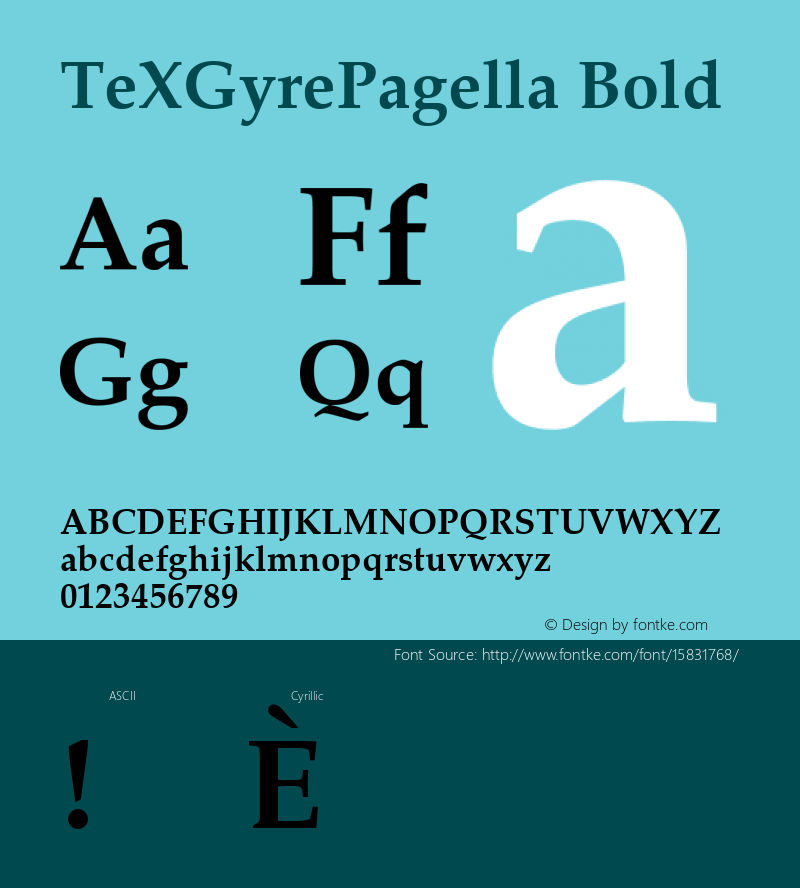 TeXGyrePagella Bold Version 1.103;PS 1.103;hotconv 1.0.49;makeotf.lib2.0.14853; ttfautohint (v1.4.1)图片样张