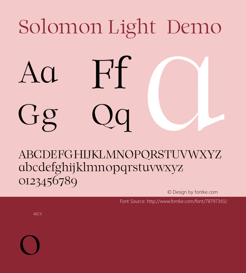 Solomon-Light-Demo 0.1.0图片样张