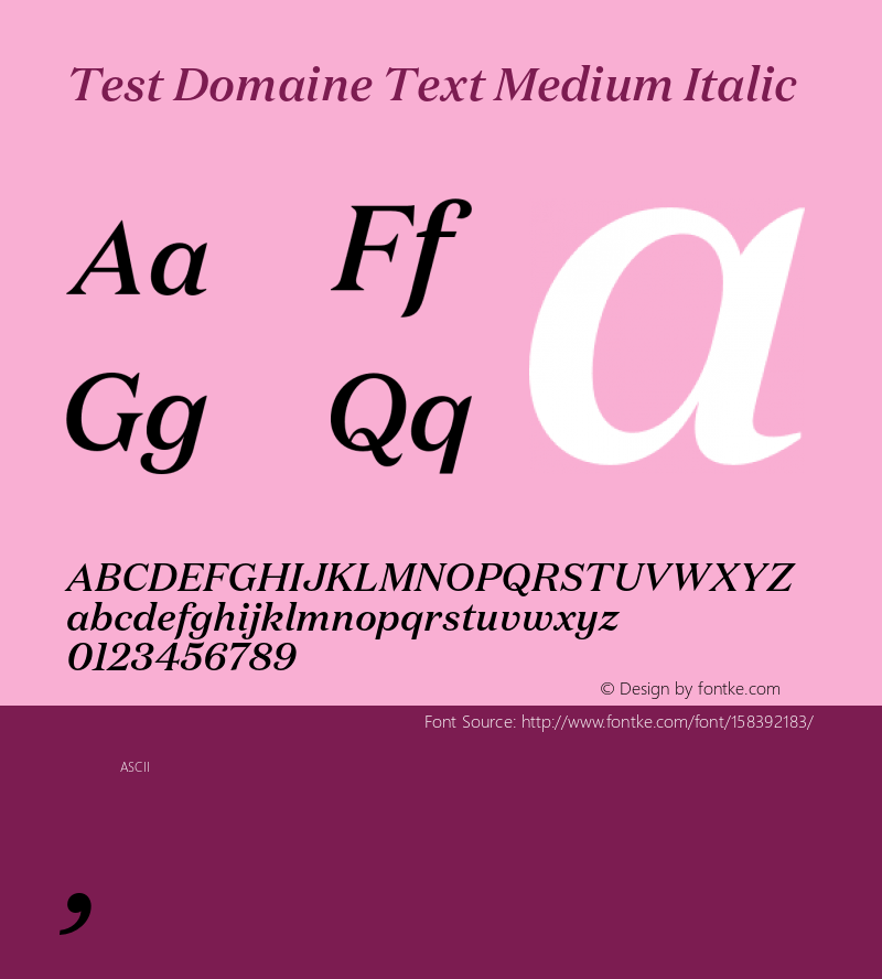 Test Domaine Text Med Italic Version 1.004;PS 1.000;hotconv 16.6.54;makeotf.lib2.5.65590图片样张