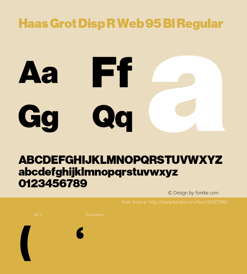 Haas Grot Disp R Web 95 Bl Regular Version 001.001 2010图片样张