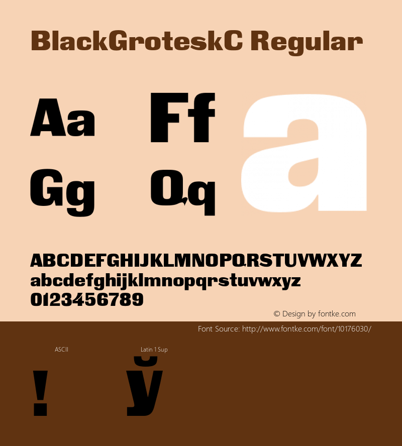 BlackGroteskC Regular 001.000图片样张