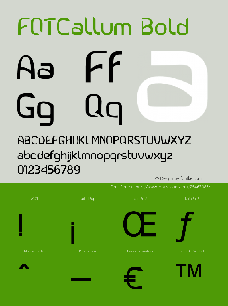 FOTCallum-Bold Version 1.000图片样张