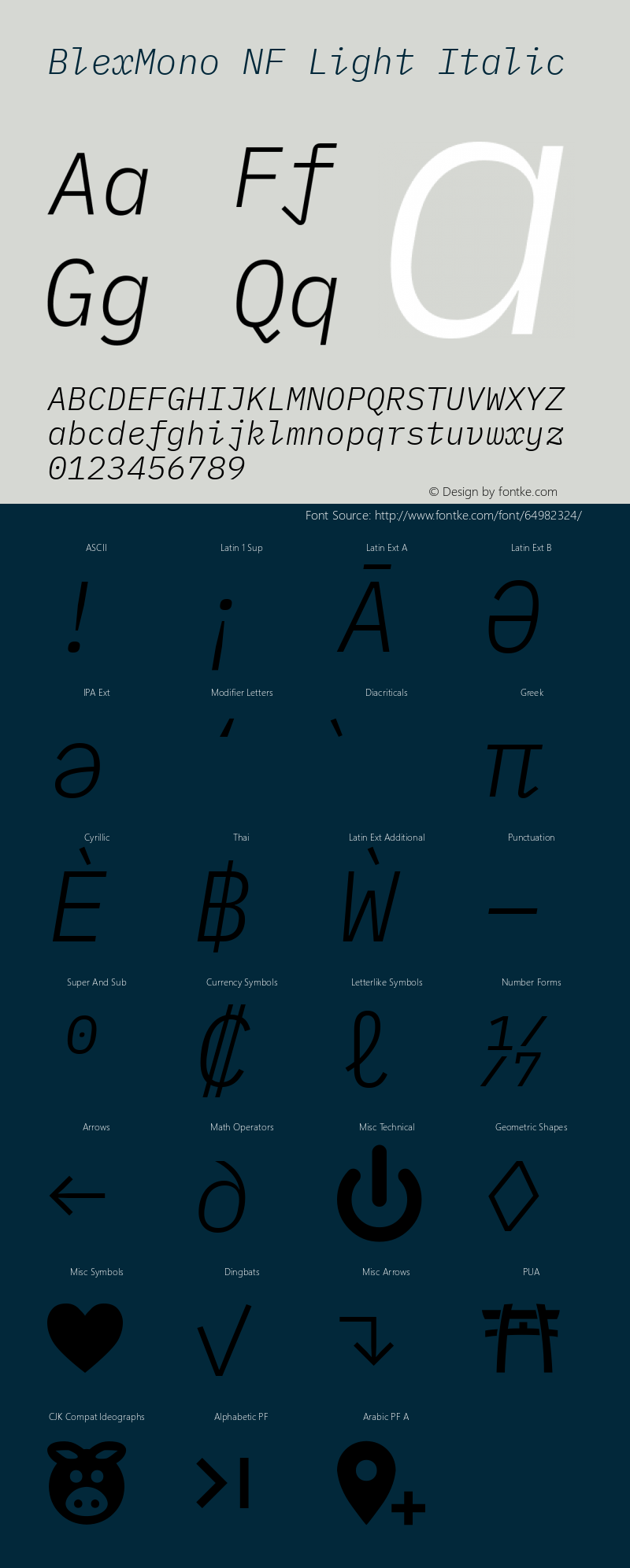 Blex Mono Light Italic Nerd Font Complete Windows Compatible Version 2.000图片样张