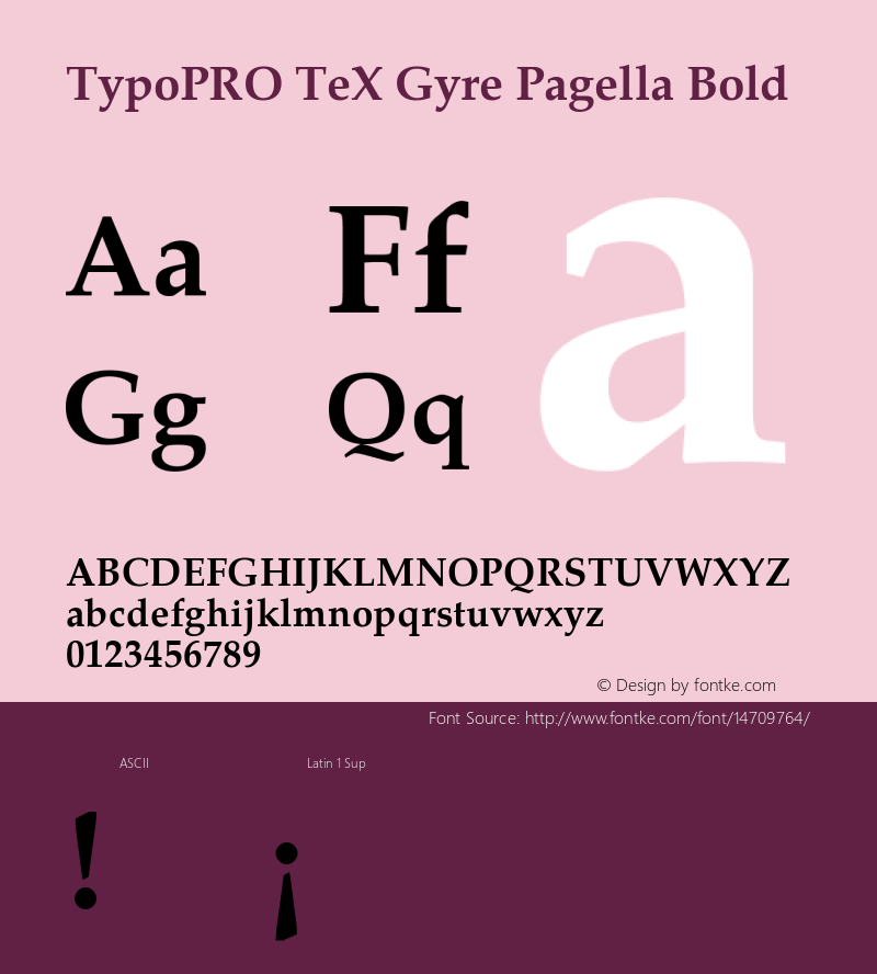 TypoPRO TeX Gyre Pagella Bold Version 2.004;PS 2.004;hotconv 1.0.49;makeotf.lib2.0.14853图片样张