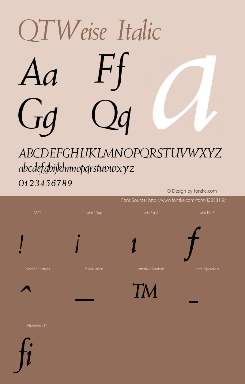 QTWeise Italic Version 001.000图片样张