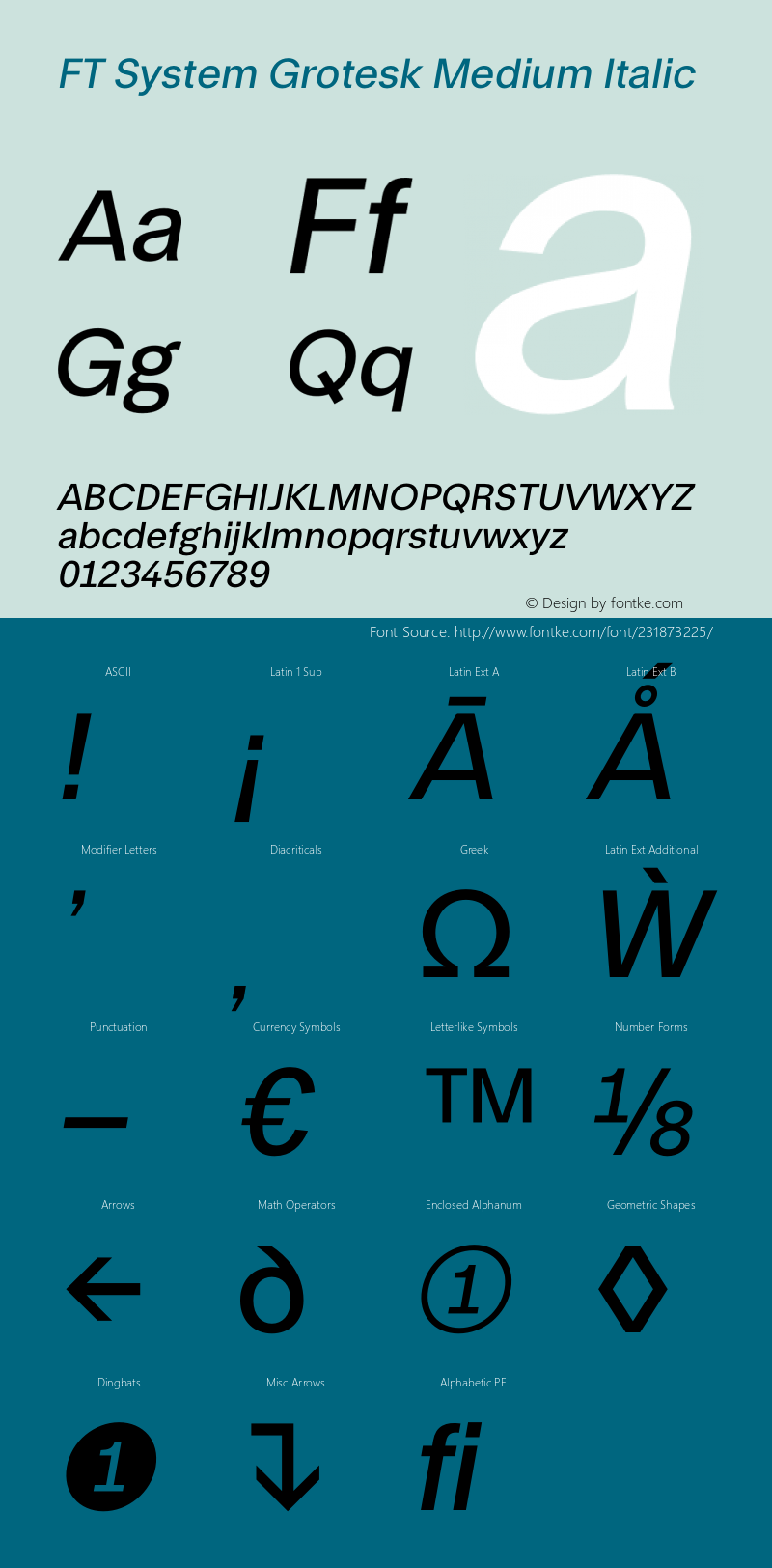 FT System Grotesk Medium Italic Version 1.000;FEAKit 1.0图片样张