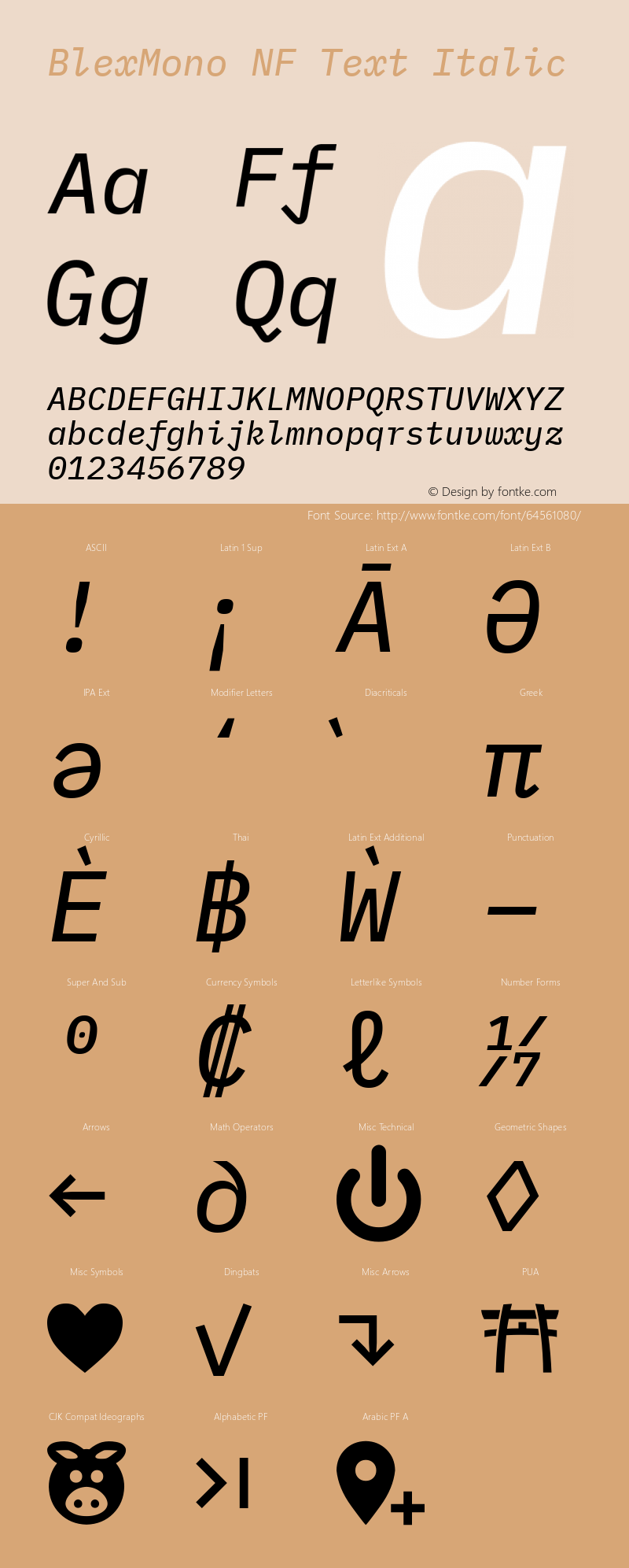 Blex Mono Text Italic Nerd Font Complete Windows Compatible Version 2.000图片样张