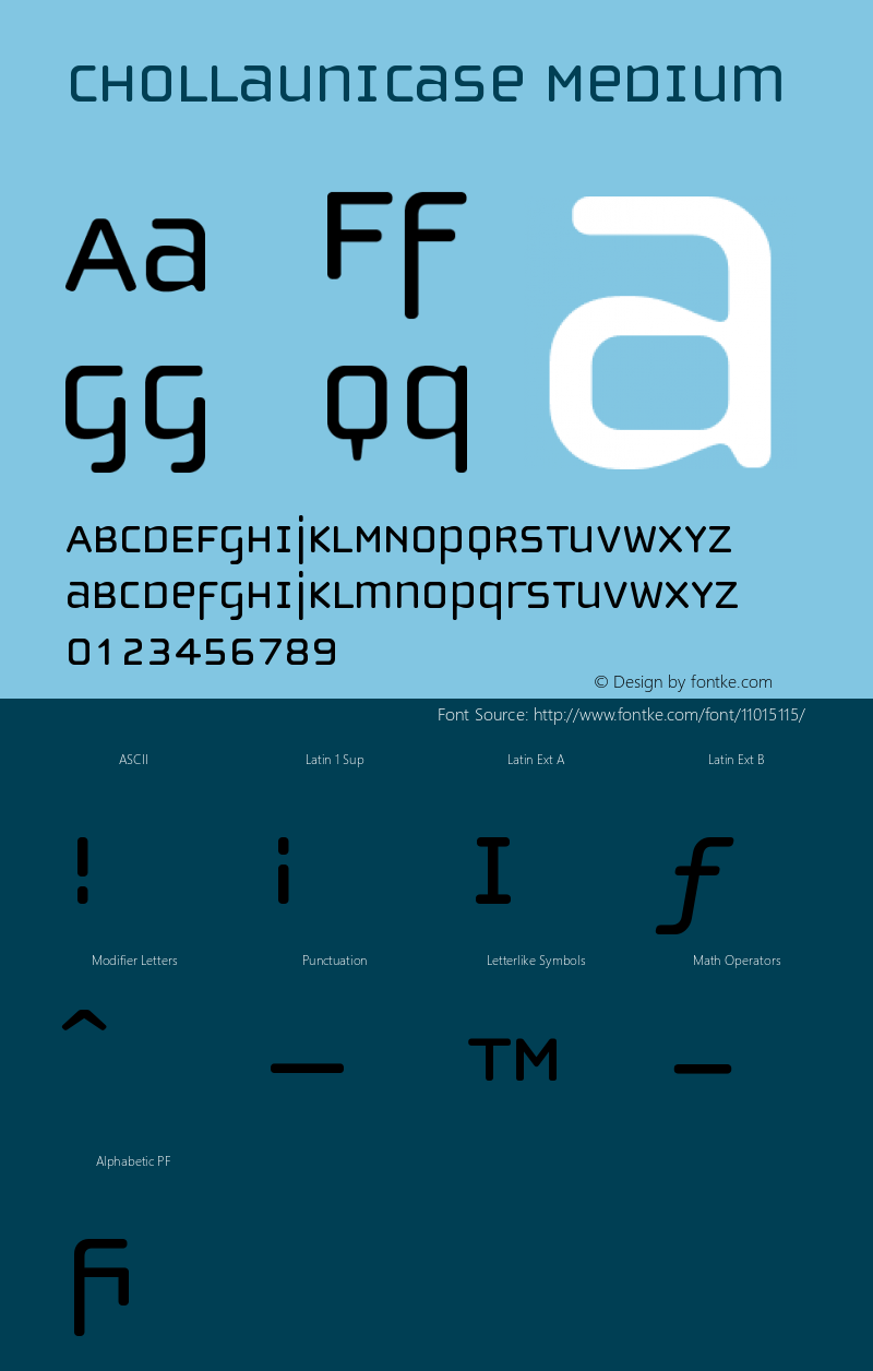 ChollaUnicase Medium Version 001.000图片样张