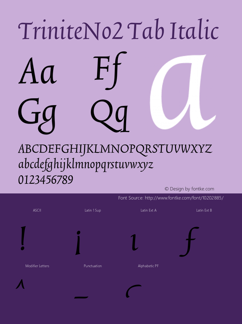 TriniteNo2 Tab Italic 001.000图片样张