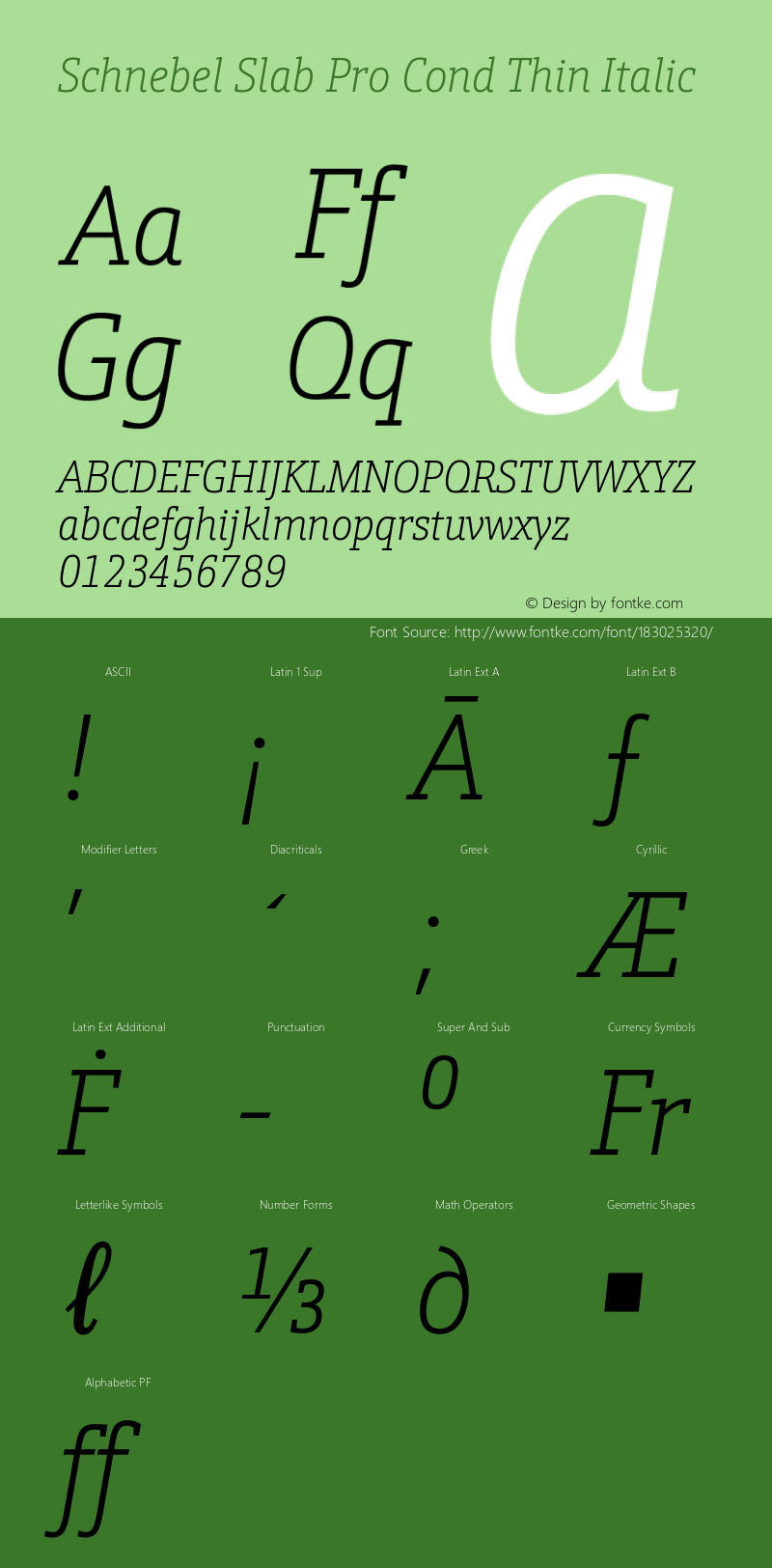 Schnebel Slab Pro Cond Thin Italic Version 1.00图片样张