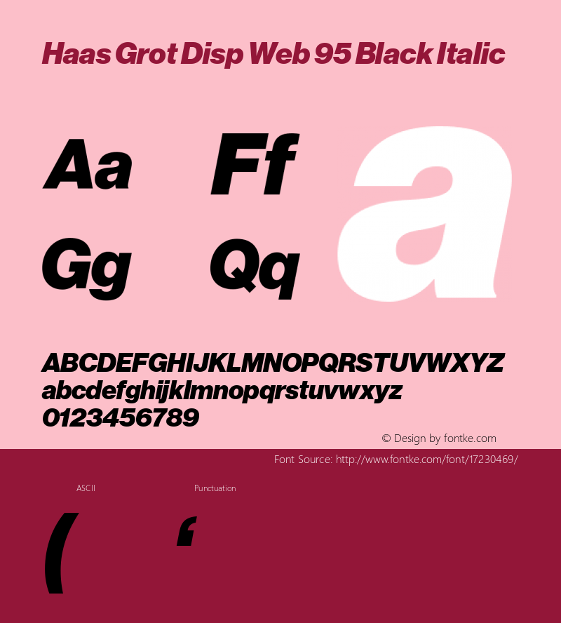 Haas Grot Disp Web 95 Black Italic Version 001.001 2010图片样张