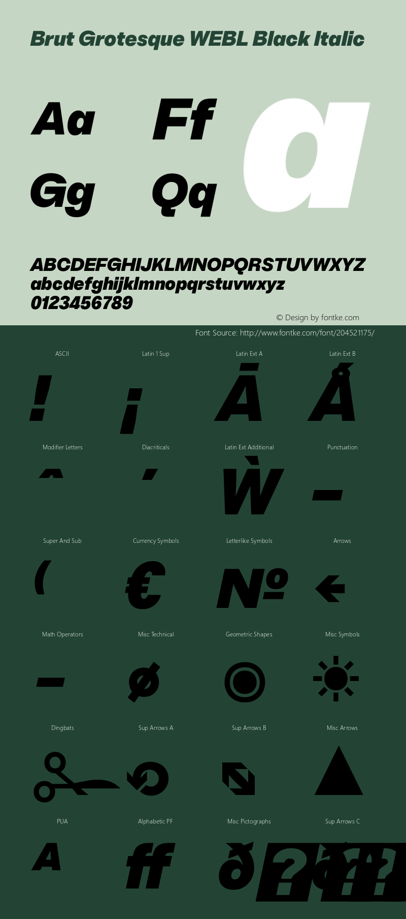 Brut Grotesque WEBL Black Italic Version 6.001;PS 6.1;hotconv 1.0.88;makeotf.lib2.5.647800图片样张