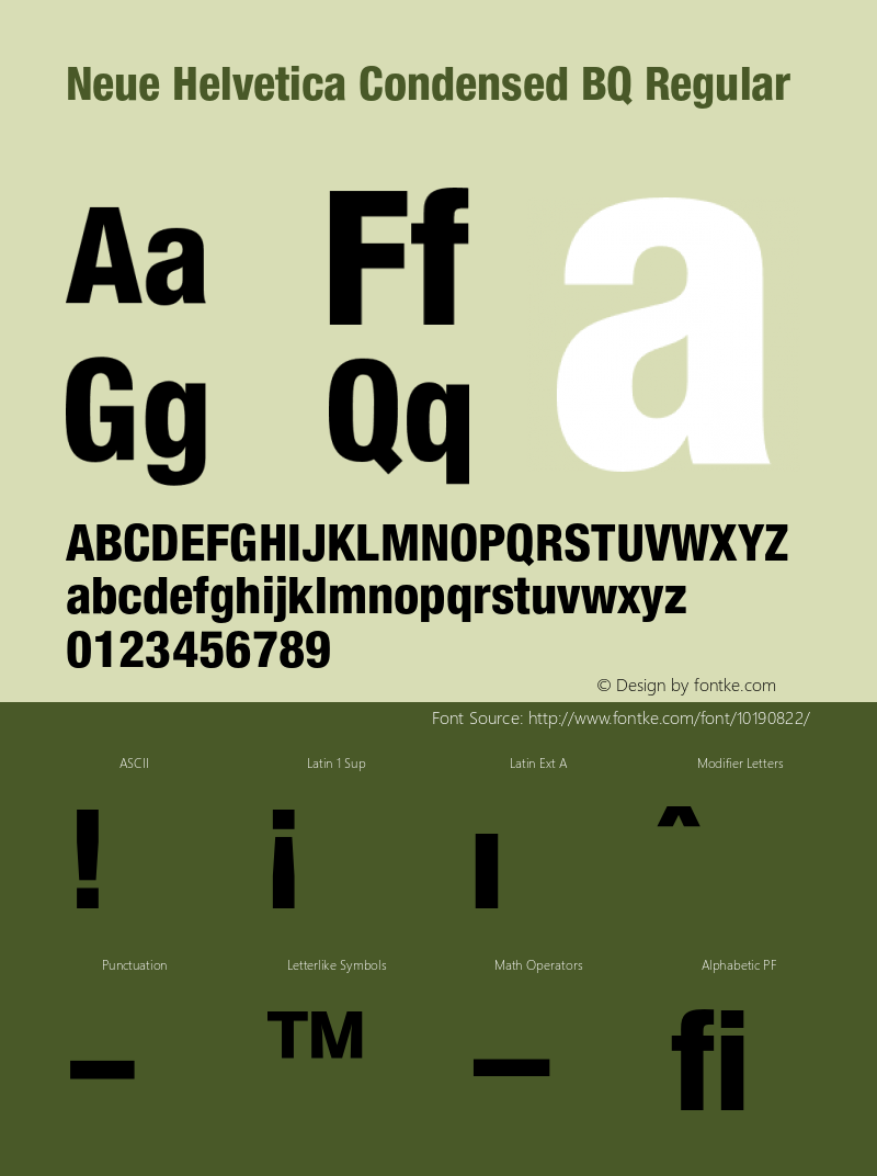 Neue Helvetica Condensed BQ Regular 001.000图片样张