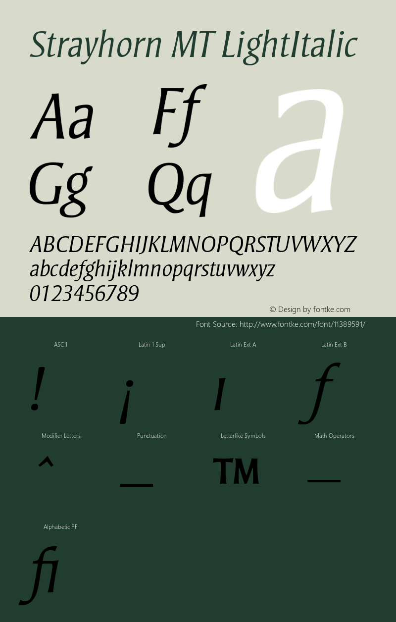 Strayhorn MT LightItalic Version 001.002图片样张