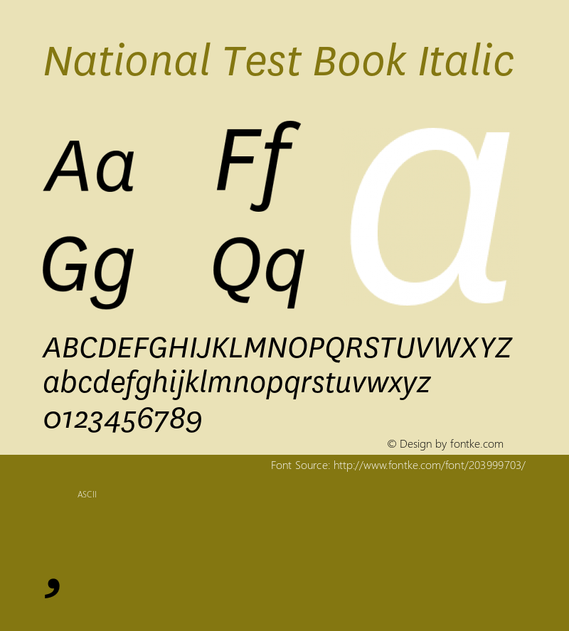 National Test-BookItalic 2.001图片样张