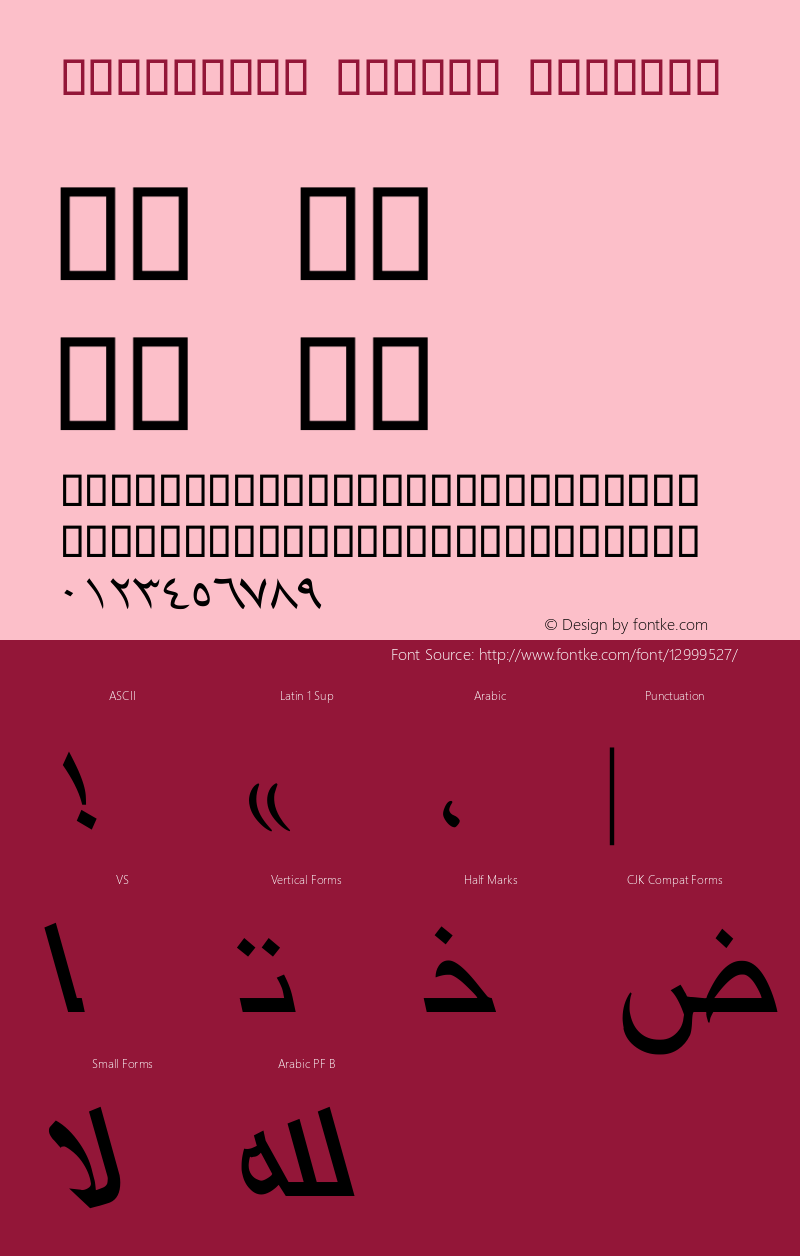 W_jarideh Italic Regular Macromedia Fontographer 4.1 8/29/2005图片样张