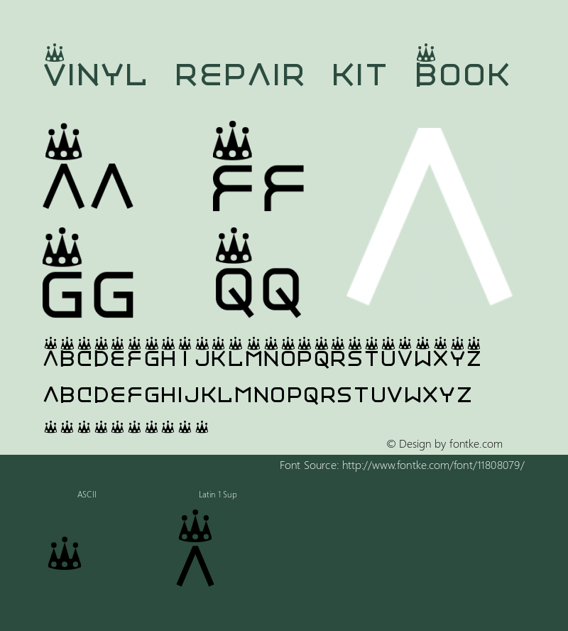 Vinyl repair kit Book Version 2图片样张