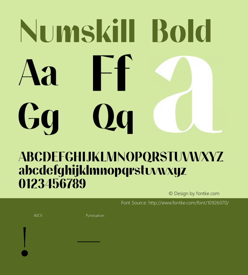 Numskill Bold Version 1.000图片样张