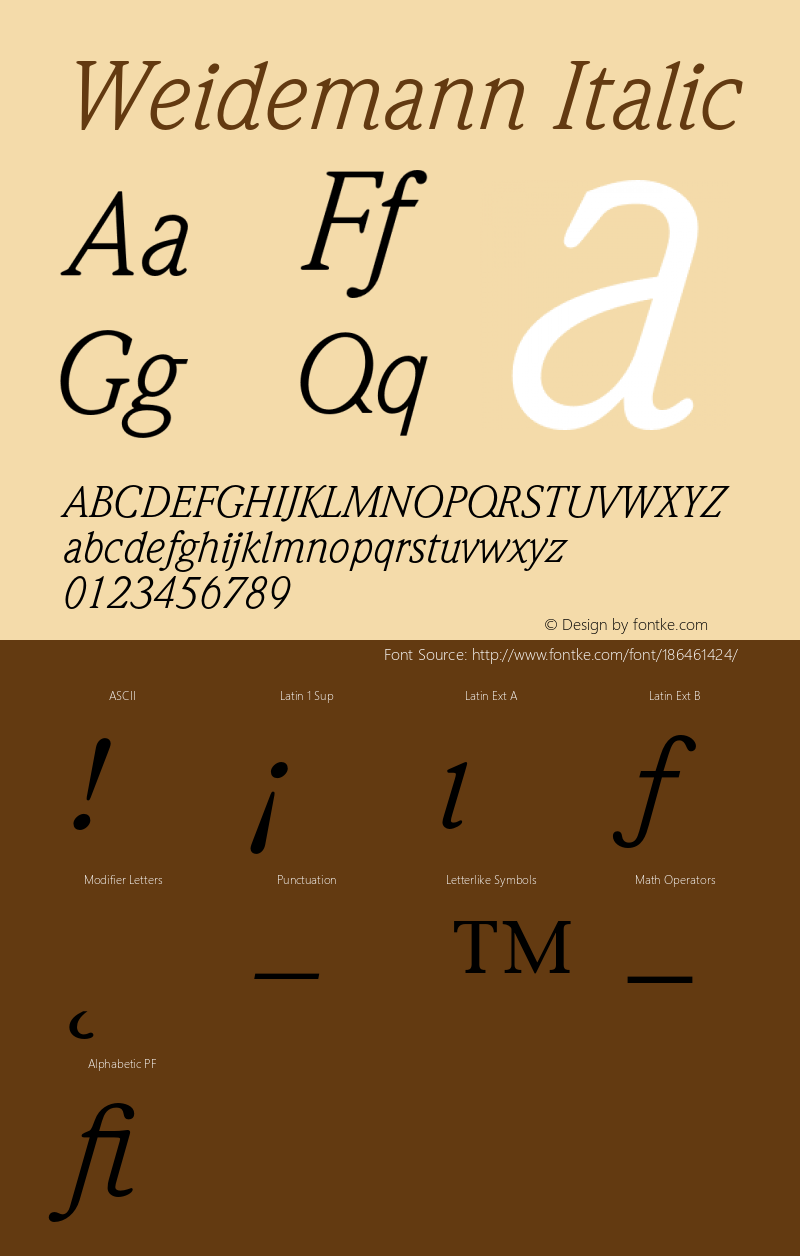 Weidemann-BookItalic 001.002图片样张