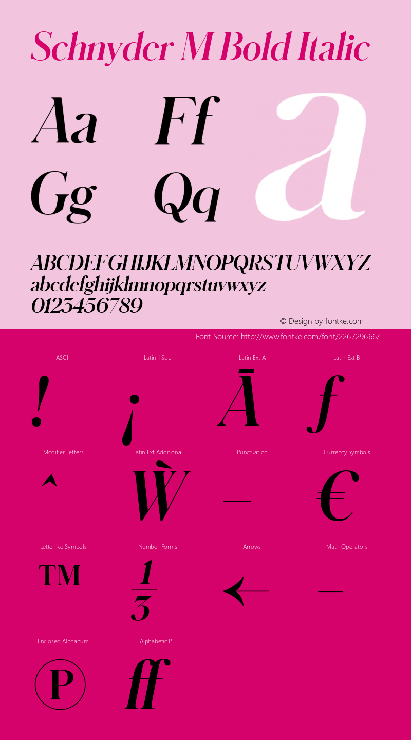 Schnyder M Bold Italic Version 1.001 2018图片样张