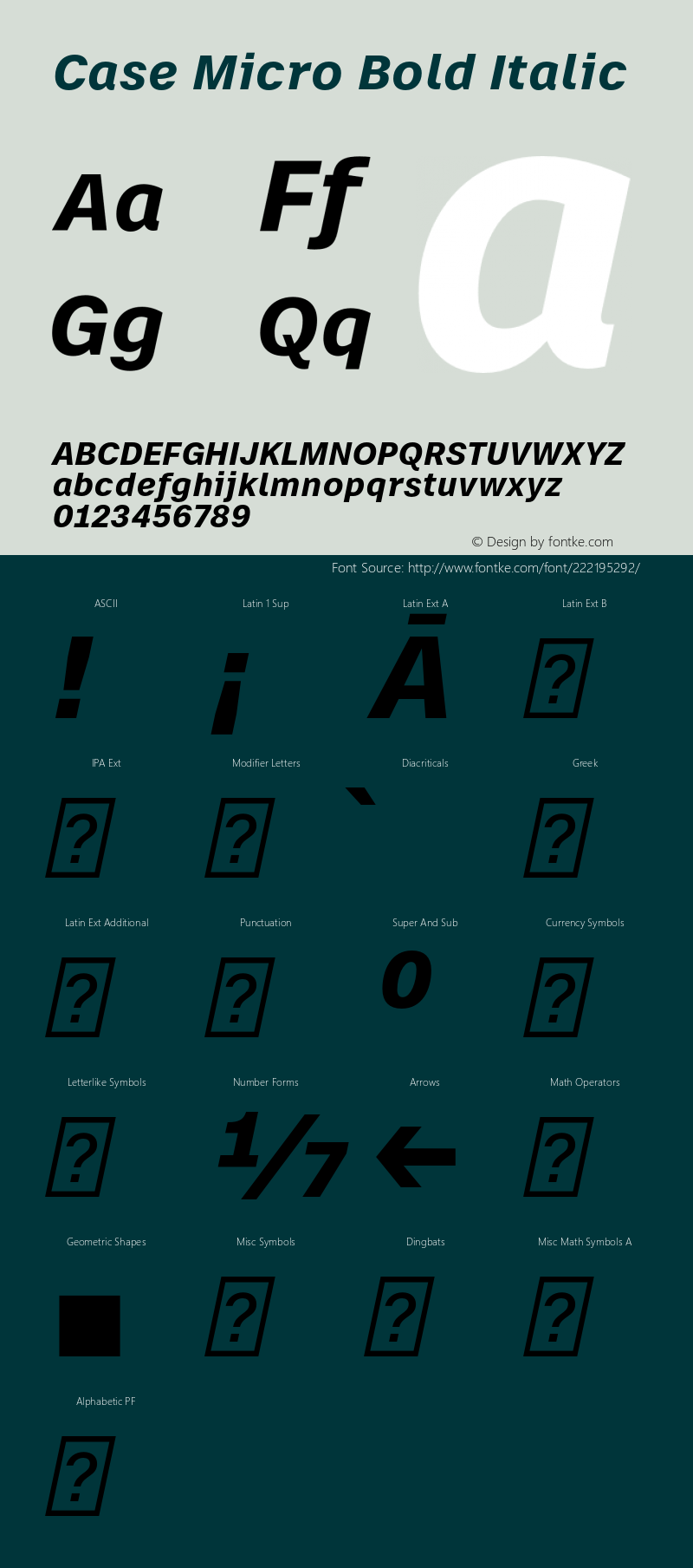 Case Micro Bold Italic Version 1.001图片样张