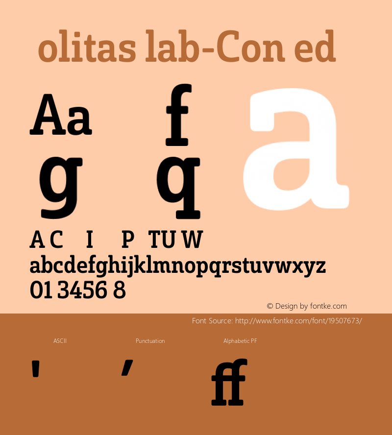 ☞SolitasSlab-ConMed 1.000;com.myfonts.easy.insigne.solitas-slab.con-medium.wfkit2.version.4sR9图片样张