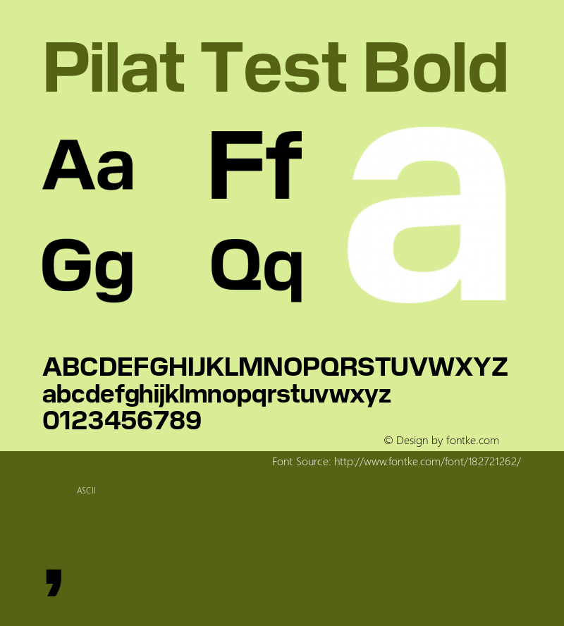 Pilat Test Bold Version 1.001;PS 1.1;hotconv 1.0.88;makeotf.lib2.5.647800 DEVELOPMENT图片样张