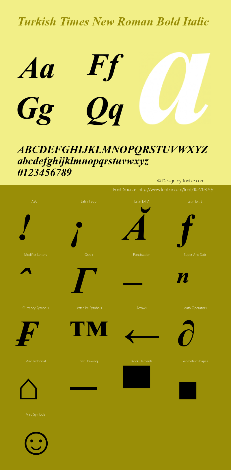 Turkish Times New Roman Bold Italic MS core font:V1.00图片样张