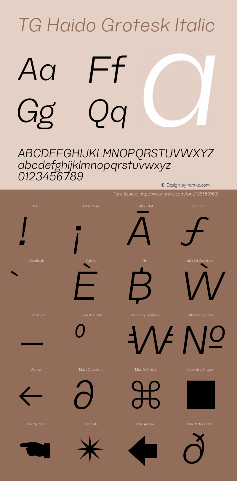 TG Haido Grotesk Italic 1.000图片样张