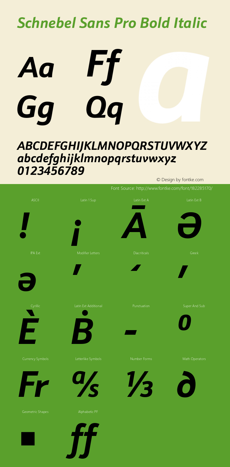 Schnebel Sans Pro Bold Italic Version 1.00图片样张