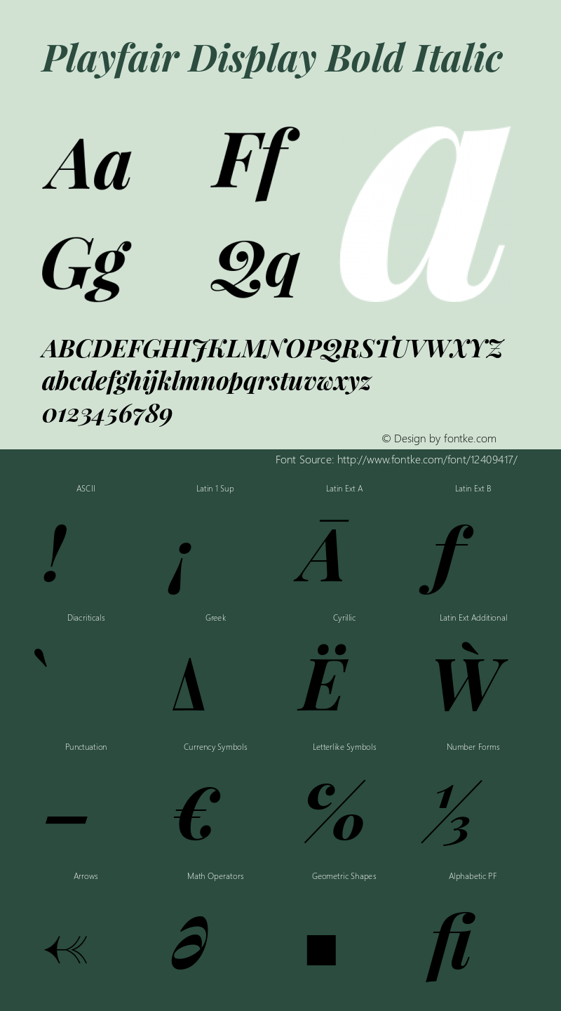 Playfair Display Bold Italic Version 1.005;PS 001.005;hotconv 1.0.70;makeotf.lib2.5.58329图片样张