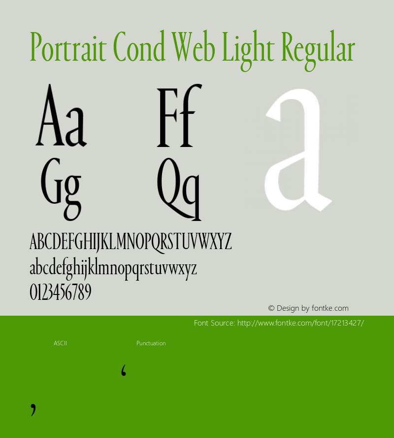 Portrait Cond Web Light Regular Version 1.1 2013图片样张