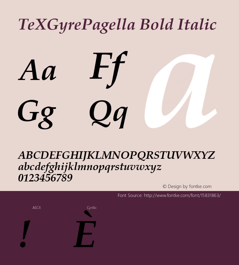 TeXGyrePagella Bold Italic Version 1.103;PS 1.103;hotconv 1.0.49;makeotf.lib2.0.14853; ttfautohint (v1.4.1)图片样张