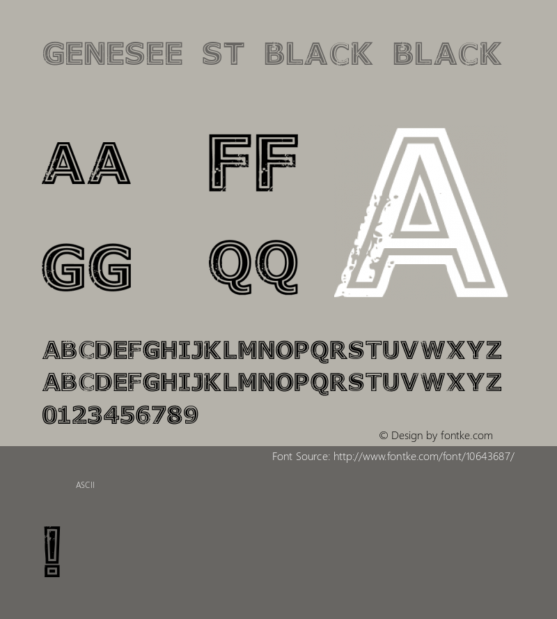 Genesee St Black Black Version 1.00 2015图片样张