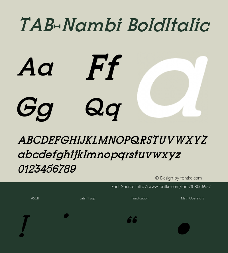 TAB-Nambi BoldItalic 8.1图片样张