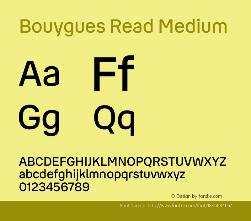 Bouygues Read Medium Version 1.0图片样张