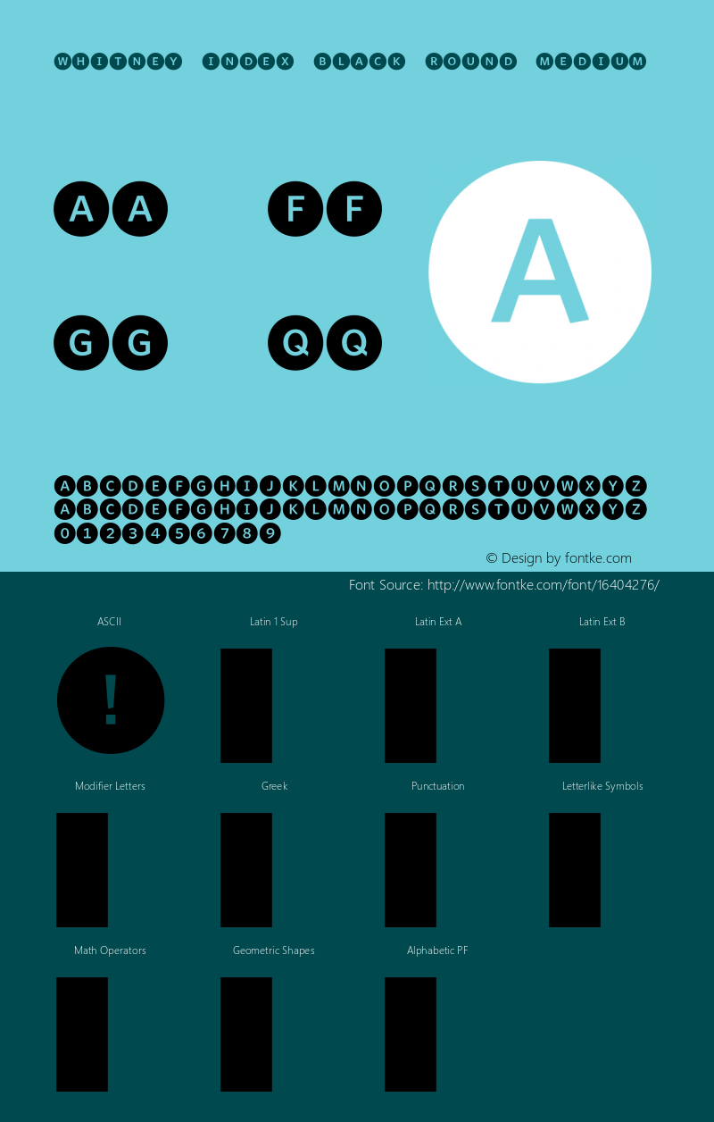 Whitney Index Black Round Medium Version 1.3 Basic图片样张