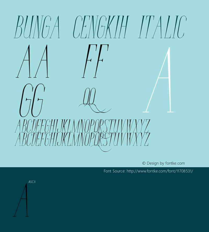 Bunga Cengkih Italic Version 001.000图片样张