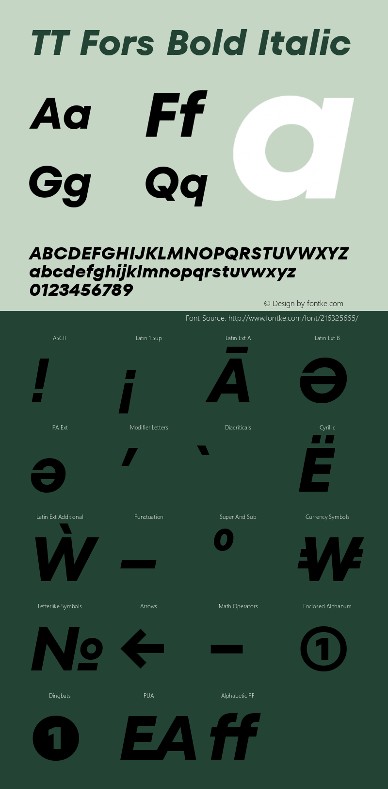 TT Fors Bold Italic 1.000.06042021图片样张