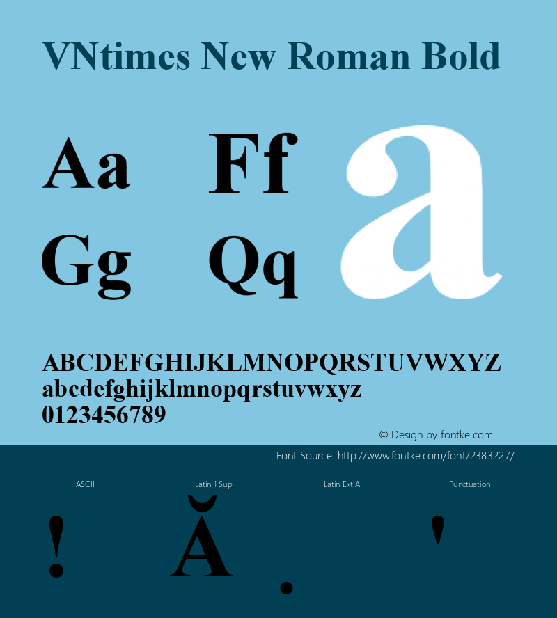 VNtimes New Roman Bold 1.0 Tue Jul 18 16:16:42 1995图片样张