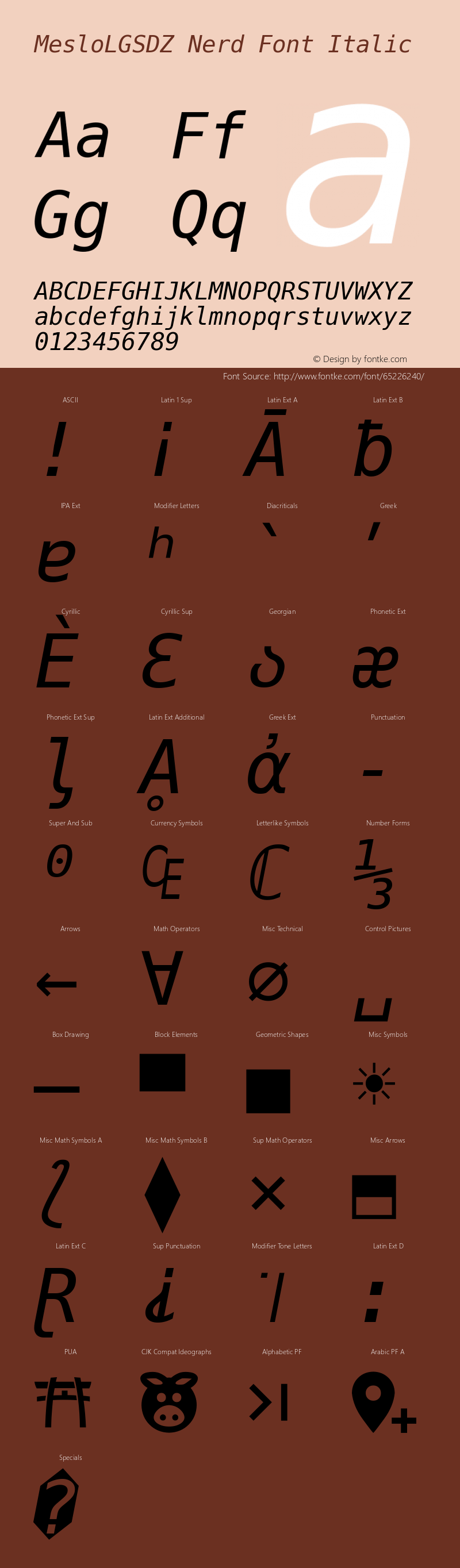 Meslo LG S DZ Italic Nerd Font Complete 1.210图片样张