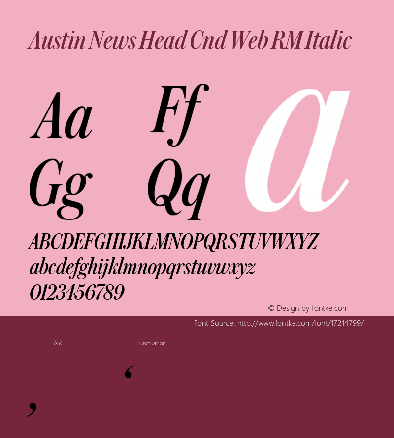 Austin News Head Cnd Web RM Italic Version 1.1 2016图片样张