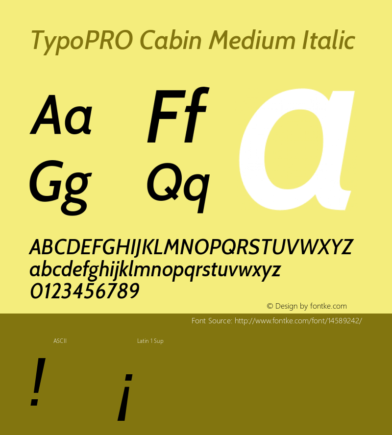 TypoPRO Cabin Medium Italic Version 1.005图片样张
