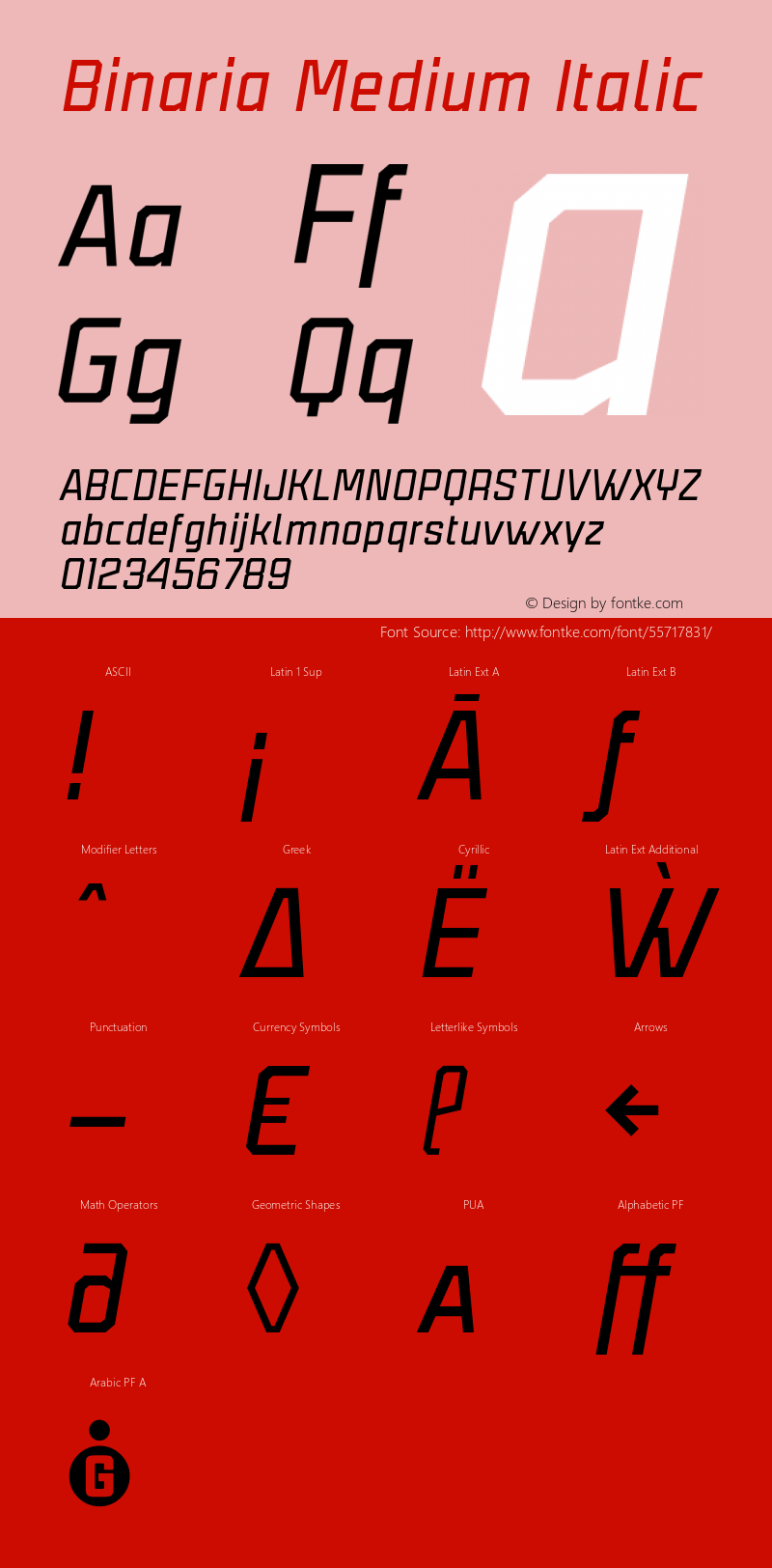 Binaria Medium Italic Version 001.001 ;YWFTv17图片样张