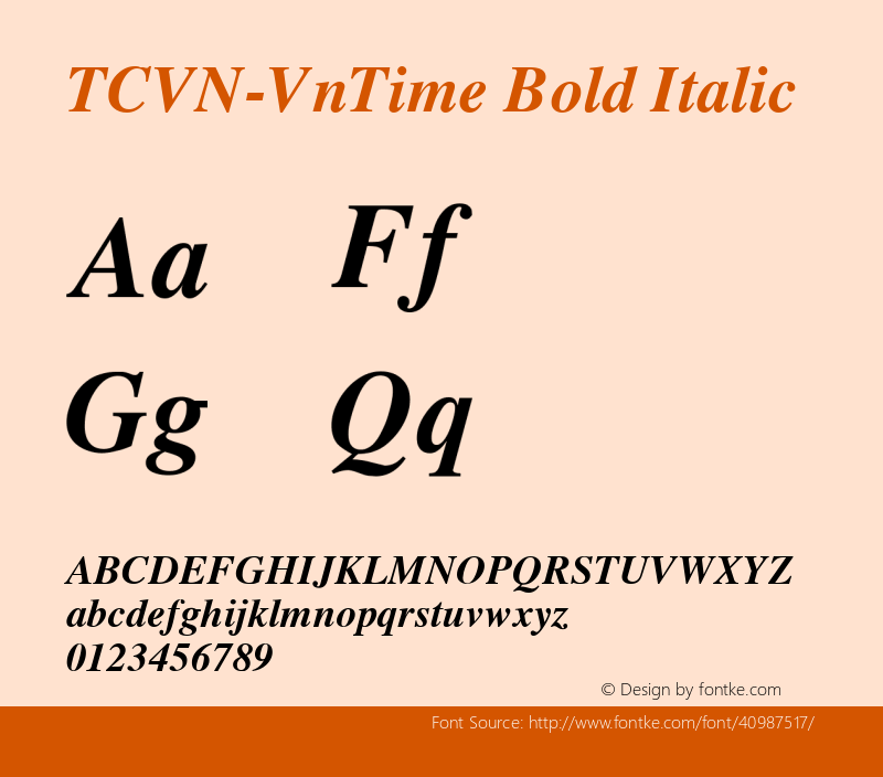 TCVN-VnTime Bold Italic MS core font:v1.00图片样张