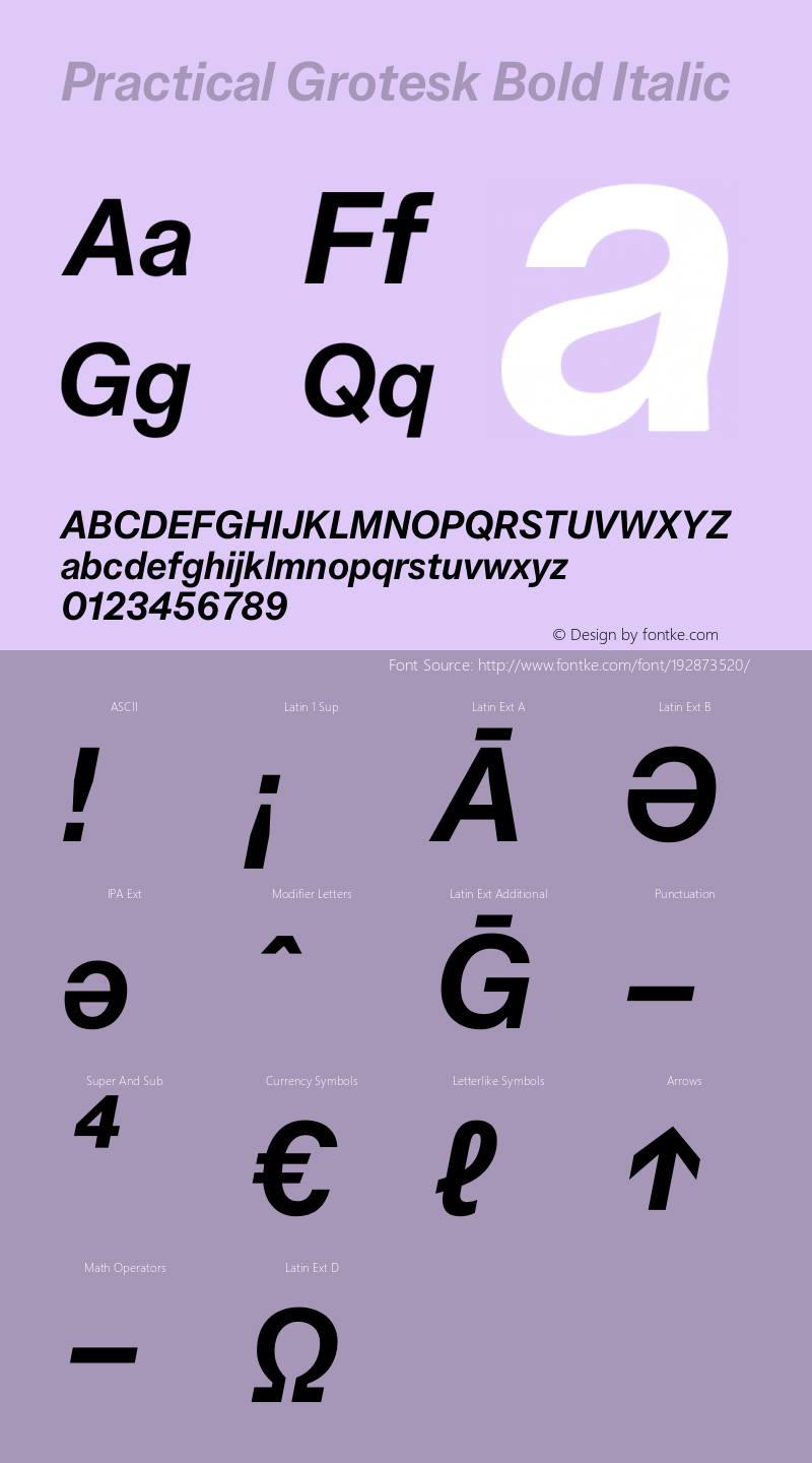 Practical Grotesk Bold Italic Version 2.000;FEAKit 1.0图片样张