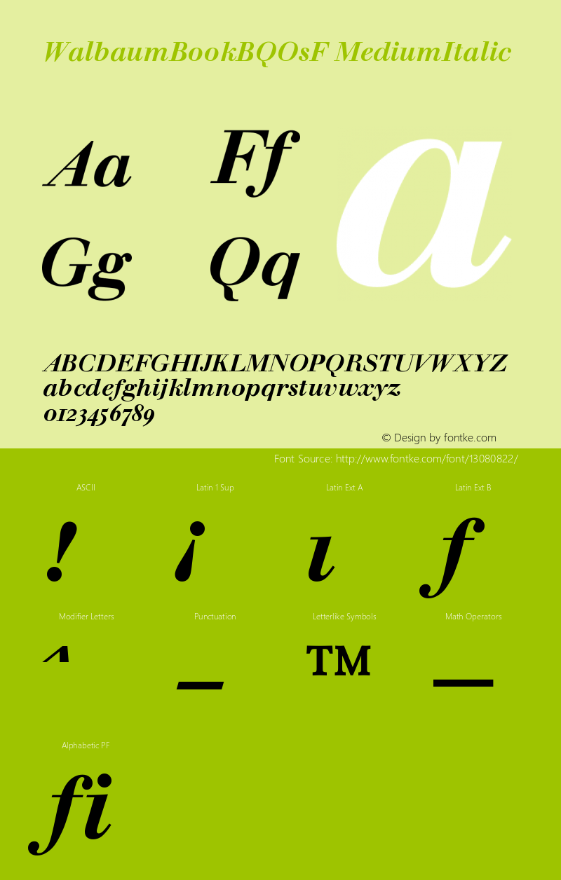 WalbaumBookBQOsF MediumItalic Version 001.001图片样张