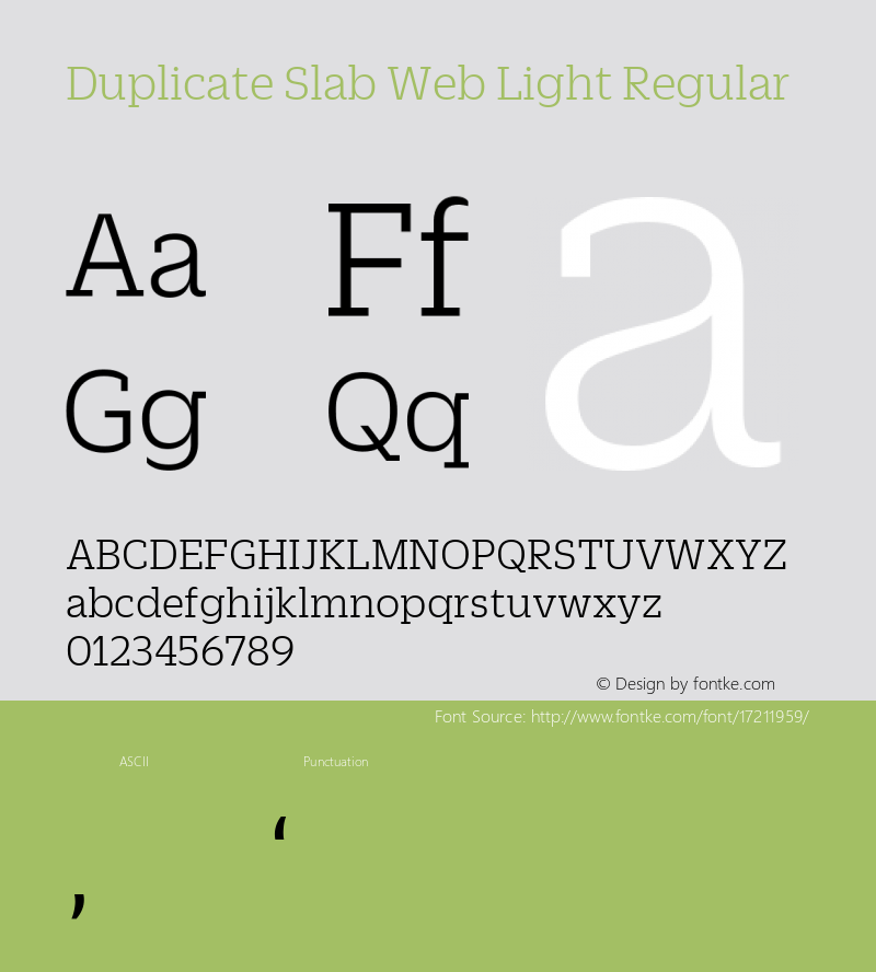 Duplicate Slab Web Light Regular Version 1.1 2013图片样张