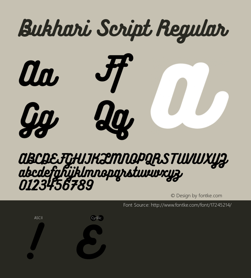 Bukhari Script Regular Version 1.000;PS 001.000;hotconv 1.0.88;makeotf.lib2.5.64775; ttfautohint (v1.4.1)图片样张