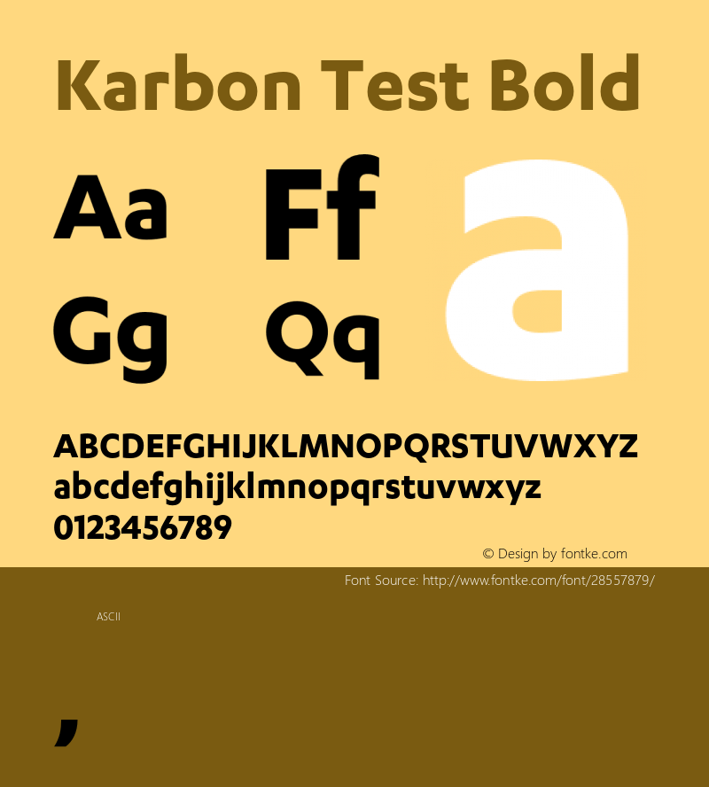 Karbon Test Bold Version 1.1图片样张